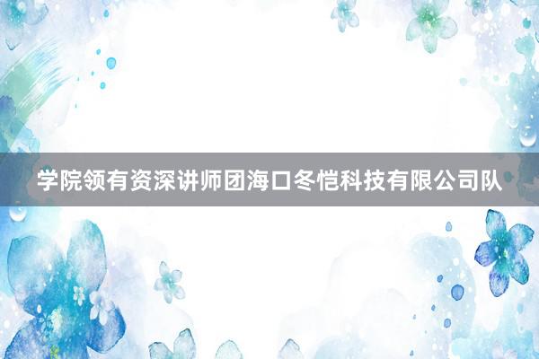 学院领有资深讲师团海口冬恺科技有限公司队